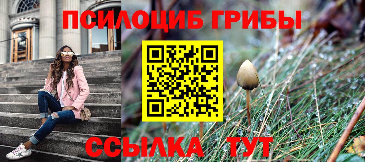 Красноуфимск  Галлюциногенные грибы Cubensis  Вход с VPN 
