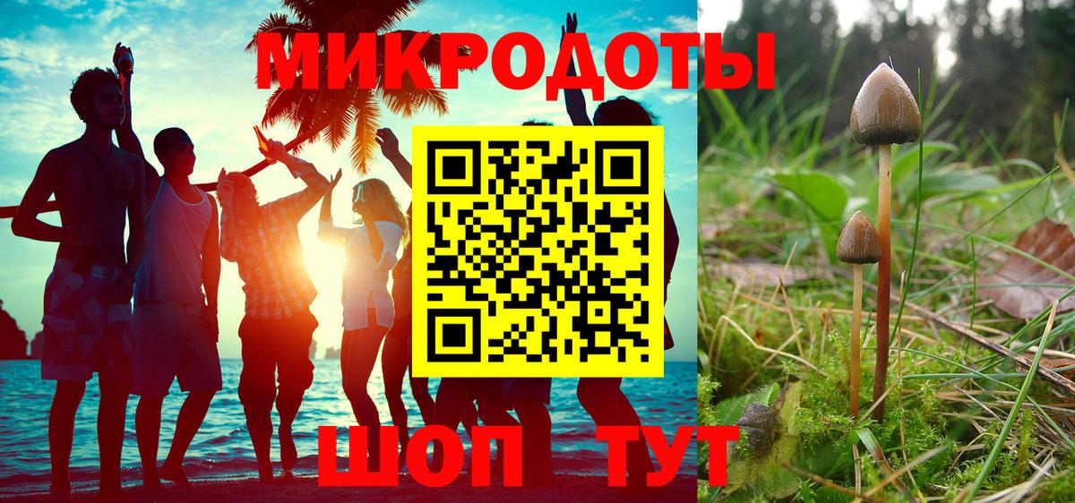 Псилоцибиновые грибы мицелий Красноуфимск